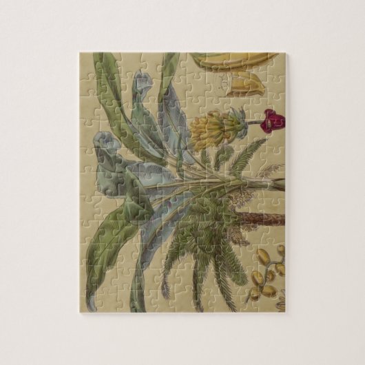Antikes tropisches Palmenfrucht botanisch Puzzle (Vertikal)