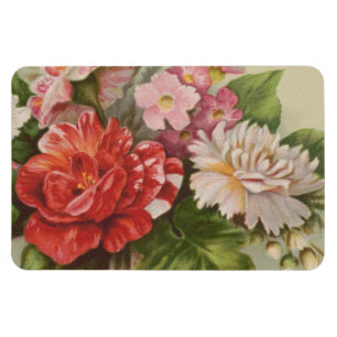 Antikes Valentinstag, L. Prang & Co., 1882 Magnet
