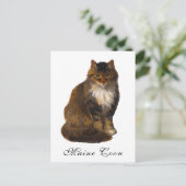 Antikes Viktorianisches Maine Coon Cat Portrait Ma Postkarte (Stehend Vorderseite)
