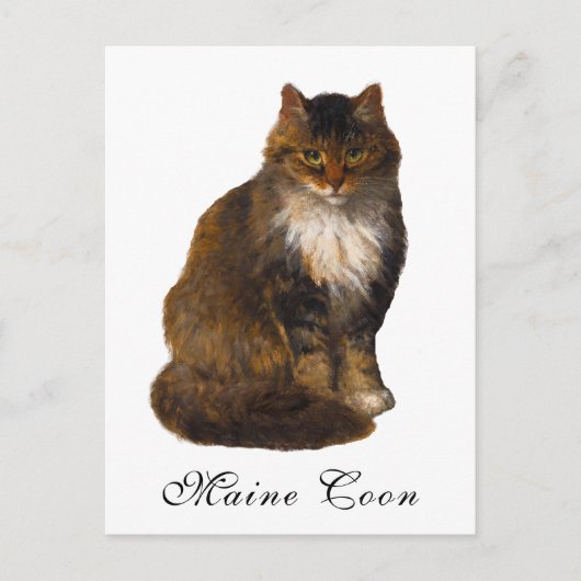 Antikes Viktorianisches Maine Coon Cat Portrait Ma Postkarte (Vorderseite)