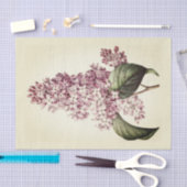 Antikes Vintages botanisches Lila Lilac Blossom Seidenpapier (Handwerk)