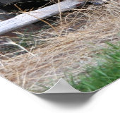 Antikes Wagenrad Poster (Ecke)