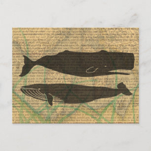Antikes Wal-Nautik-Vintage-Ozean-Meeresleben Postkarte