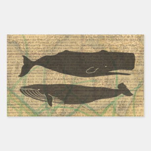 Antikes Walfisch-Marine-Vintage-Ozean-Meeresleben  Rechteckiger Aufkleber
