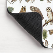 Antikes Wasserfarben-Waldmuster mit Eule Mousepad (Ecke)