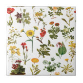 Antikes Wildblumen-Nahtlosmuster Fliese (Vorderseite)