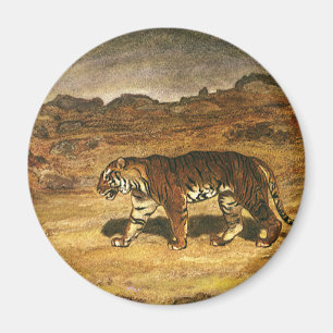 Antikes Wildtier, Bengal-Tiger durchstreift Ebenen Magnet