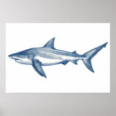 Antikes zeichn von Weißhai Poster (Vorne)