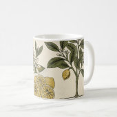 Antikes Zitronenmuster Kaffeetasse (VorderseiteRechts)