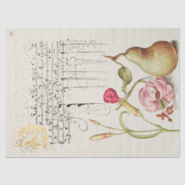 Antikkalligrafie und Zeichnend Seidenpapier