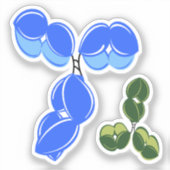 Antikörper IgG 1 oder 4, blau und grün Aufkleber (Vorderseite)