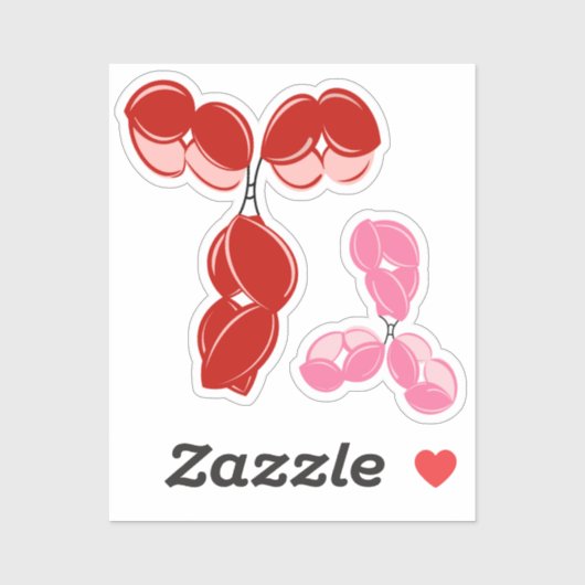 Antikörper IgG 1 oder 4, rot und rosa Aufkleber (Blatt)