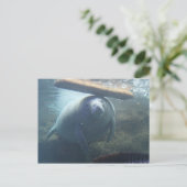 Antillean Manatee # 2 Postkarte (Stehend Vorderseite)