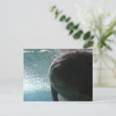 Antillean Manatee # 3 Postkarte (Stehend Vorderseite)