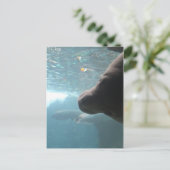 Antillean Manatee # 4 Postkarte (Stehend Vorderseite)