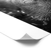 Antillean manatee poster (Ecke)