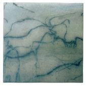 Antilope und Bison, Perigordian (Höhlenmalerei) Fliese (Vorderseite)