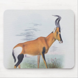 Antilope, "vom Buch der Antilopen", Mousepad