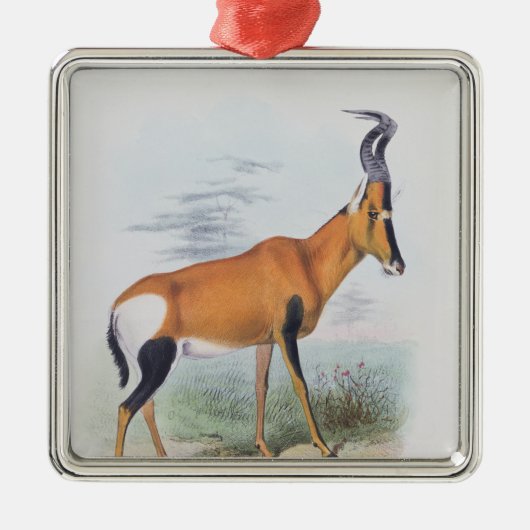 Antilope, "vom Buch der Antilopen", Silbernes Ornament (Vorne)