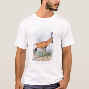 Antilope, "vom Buch der Antilopen", T-Shirt