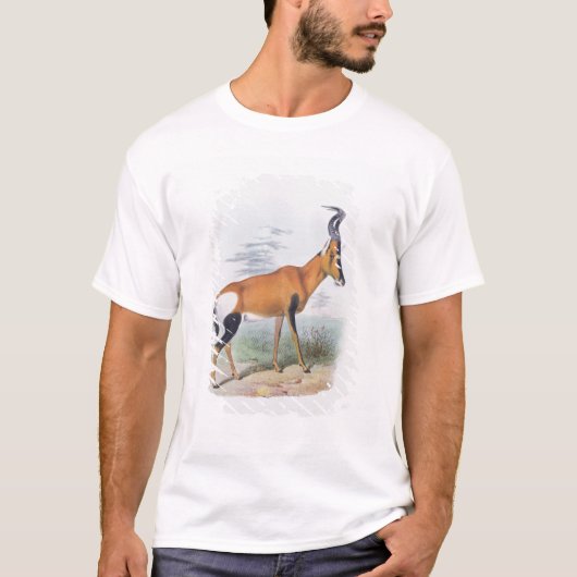 Antilope, "vom Buch der Antilopen", T-Shirt (Vorderseite)