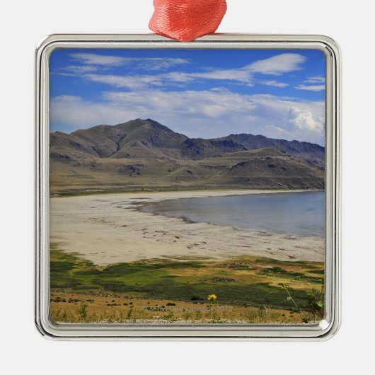 Antilopen-Insel-Staats-Park, Great Salt Lake, Ornament Aus Metall (Vorne)