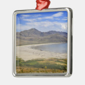 Antilopen-Insel-Staats-Park, Great Salt Lake, Ornament Aus Metall (Links)
