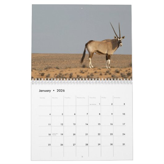Antilopen Kalender (Jan 2026)