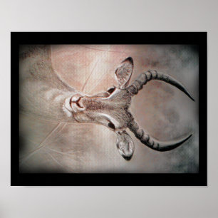 Antilopen-Kunst-Plakat Poster