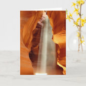 Antilopen-Schlucht Karte (Gelbe Blume)