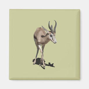 Antilopenbaby Magnet