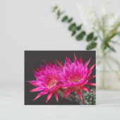 Antimaterie Kaktus Blume zweimal Postkarte (Stehend Vorderseite)