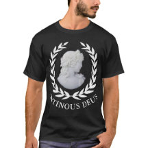Antinous der Gott Roms und Hadrians Favorit -