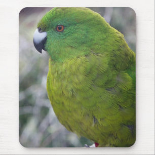 Antipode-InselParakeet Mousepad