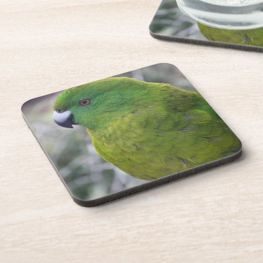 Antipode-InselParakeet Untersetzer (Linke Seite)