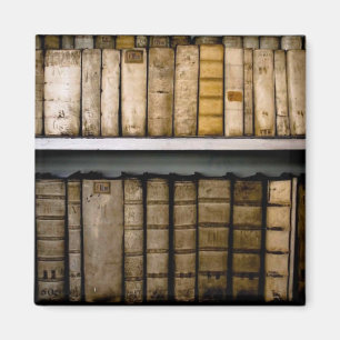 Antiquare Bücher aus dem 17. Jahrhundert Vellum B Magnet