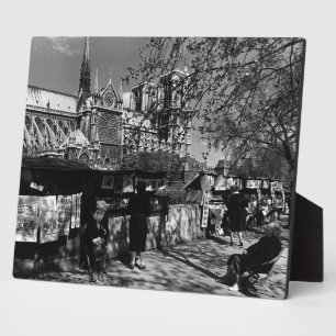 Antiquare der Vintagen Stadt Paris Dame Fotoplatte