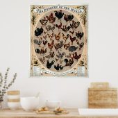 Antique 1868 Poultry Of The World Poster (Küche)