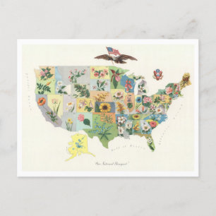 Antique 1911 USA Staat Blume Karte