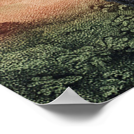 Antique Animals Jungle Print Poster (Ecke)