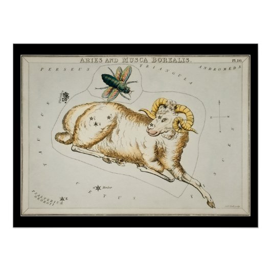 Antique Aries Astronomisches Diagramm Zodiac Astro Poster (Vorderseite)