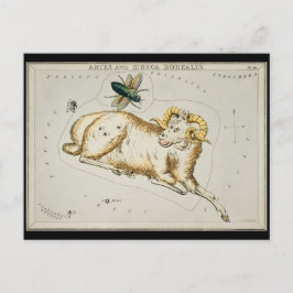 Antique Aries Astronomisches Diagramm Zodiac Astro Postkarte