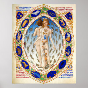 ANTIQUE ASTROLOGIE, MIKROKOSMO- UND ZODIAKALSIGNAL POSTER