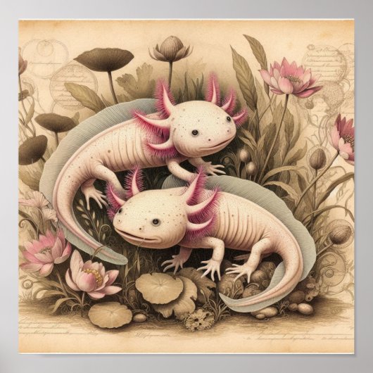 Antique Axolotl Poster with Scientific Plant  (Vorne)