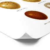 Antique Bird Eggs Print no.2 Osterfrühlingsdekor Poster (Ecke)