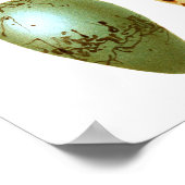 Antique Bird Eggs Print no.8 Osterfrühlingsdekor Poster (Ecke)