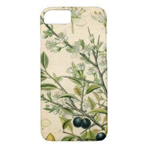 Antique Blackthorn Botanische Print Blume Berry Case-Mate iPhone Hülle
