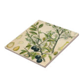 Antique Blackthorn Botanische Print Blume Berry Fliese (Seite)