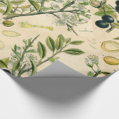 Antique Blackthorn Botanische Print Blume Berry Geschenkpapier (Ecke)
