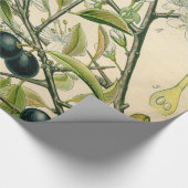 Antique Blackthorn Botanische Print Blume Berry Geschenkpapier (Ecke)